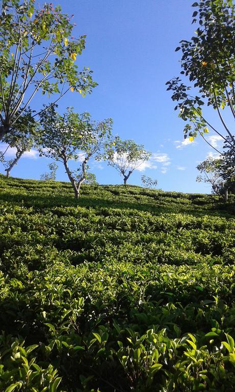 埃拉特诺加普旅馆公寓 外观 照片